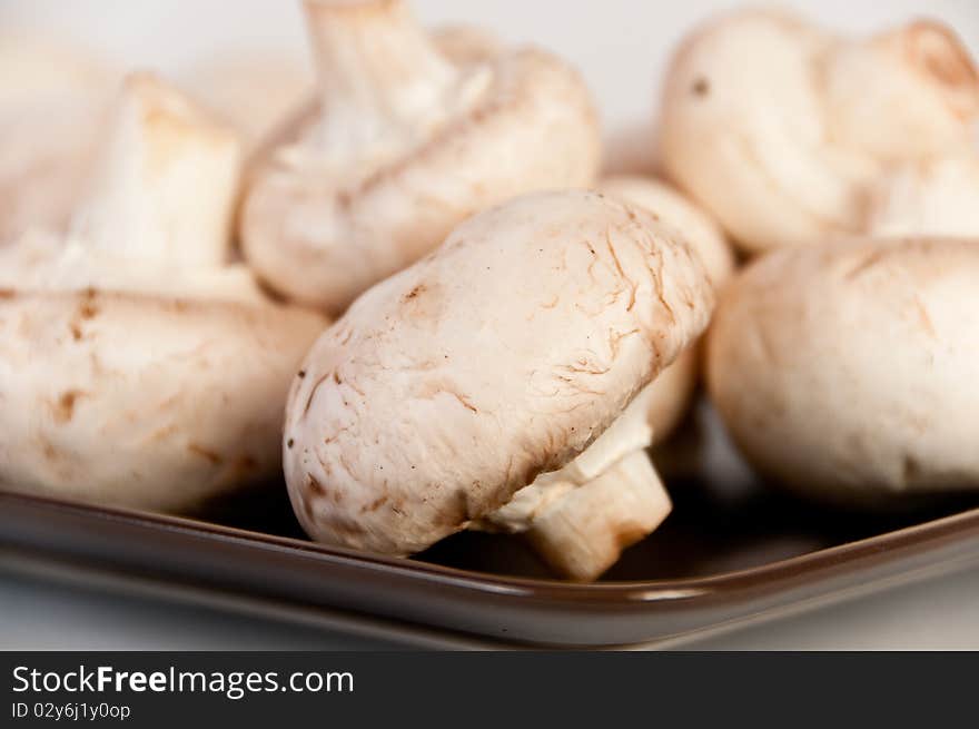 Close-up of a brown plate with white mushroom. Close-up of a brown plate with white mushroom