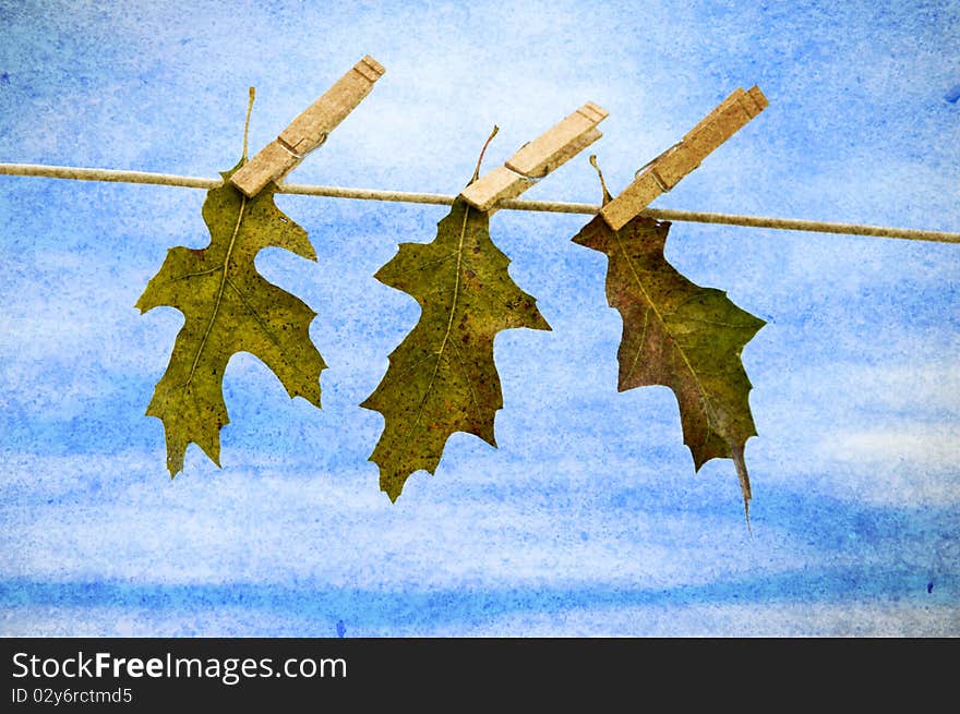 Leaf hanging on clothesline with clouds and blue sky with copy space