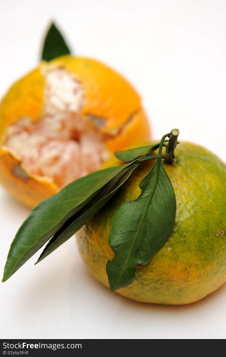 Close up of mandarin orange with different focus.