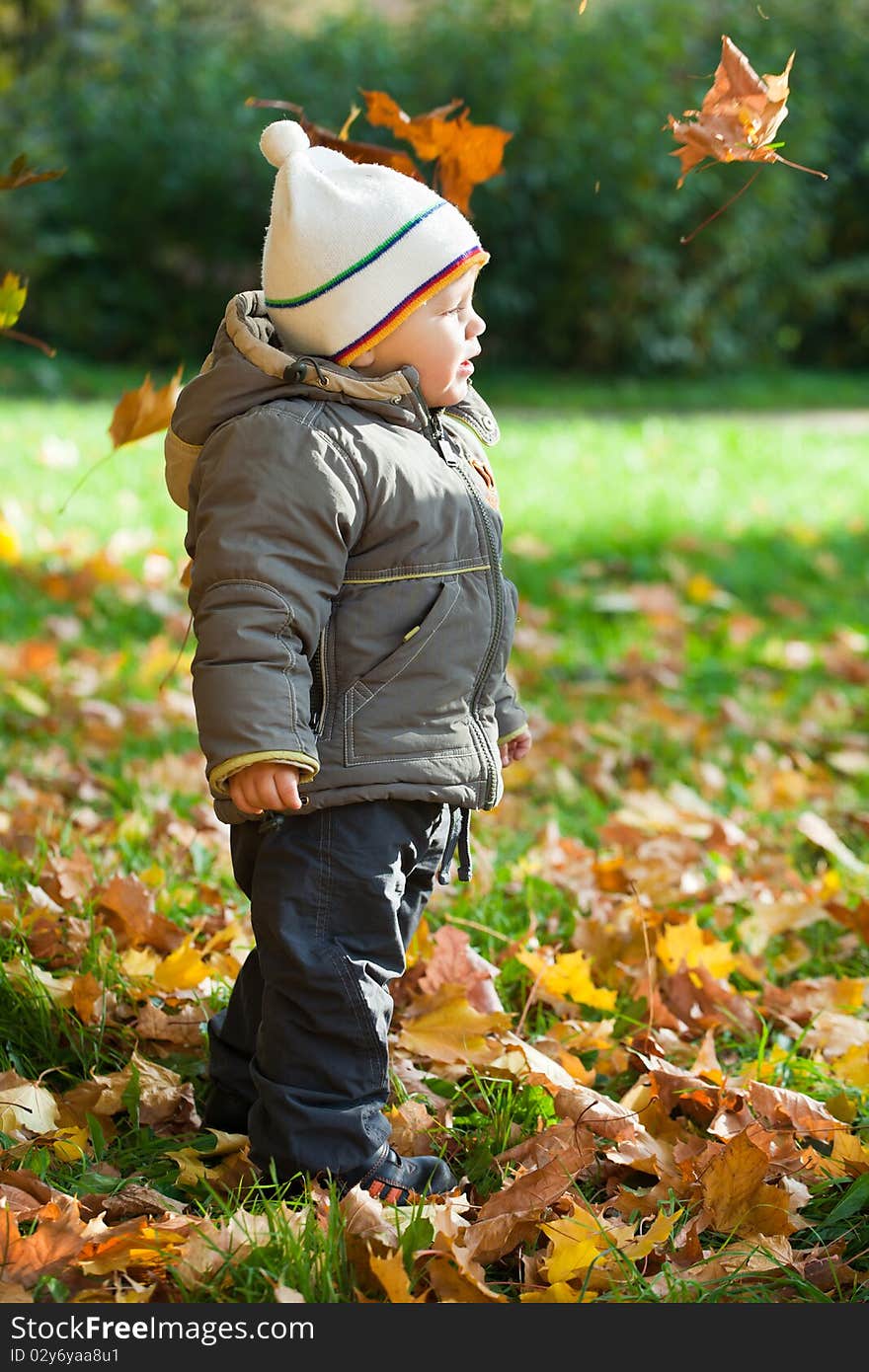 Kid in autumn wood