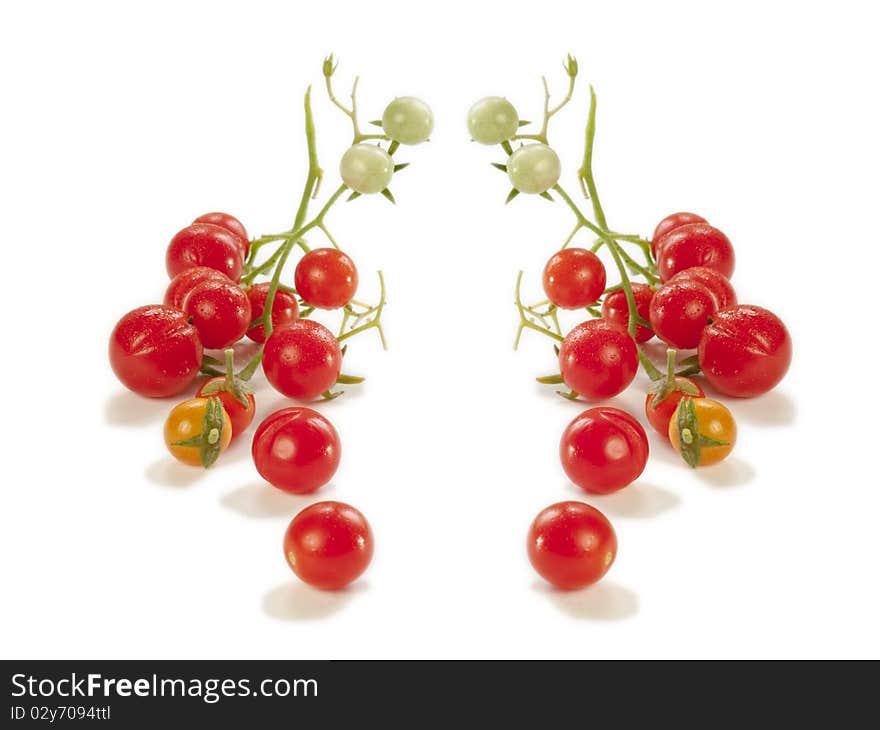 Garden Fresh Cherry Tomatoes on the Vine Mirrored