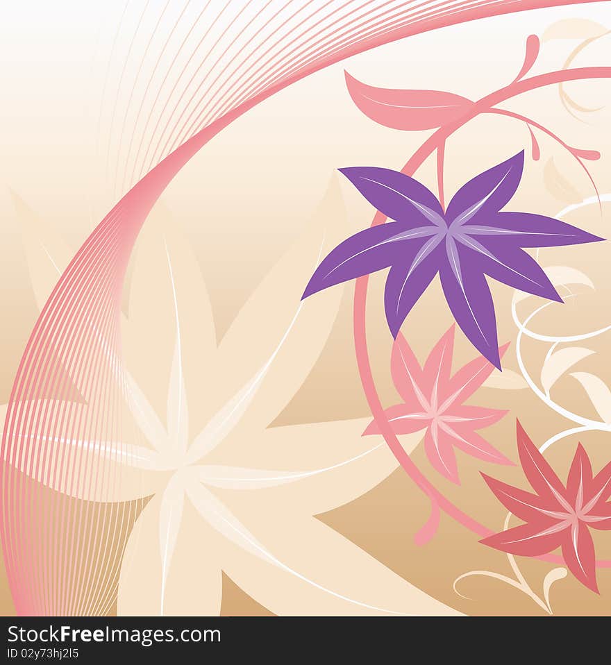 Decorative flowers and lines on pink background. Decorative flowers and lines on pink background