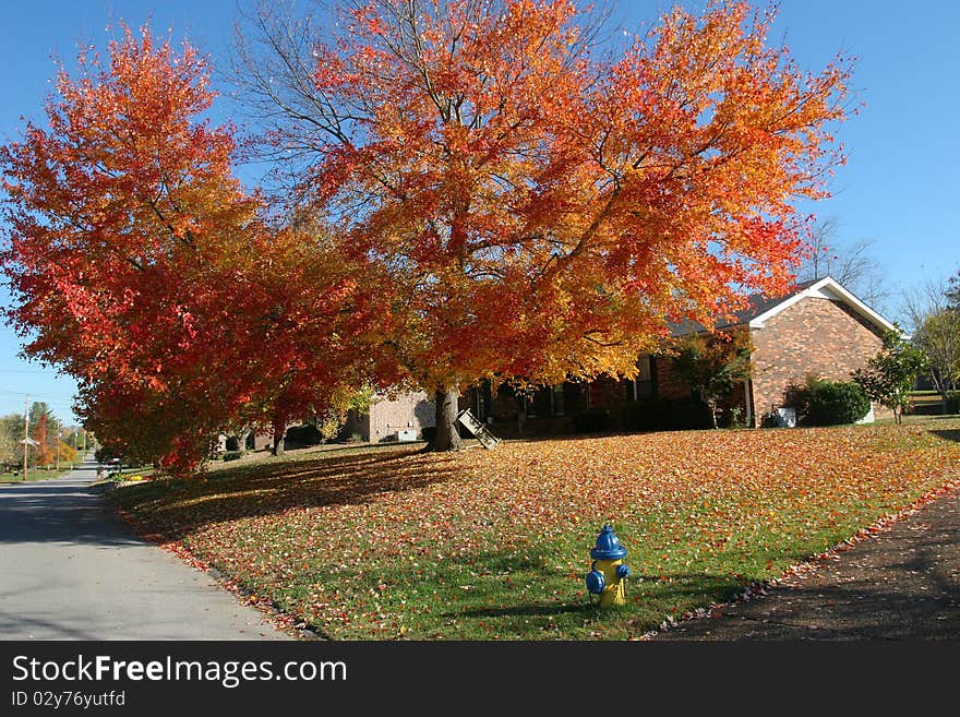 Nashville neighborhood in the fall m bright colorful foliage and warm days. Nashville neighborhood in the fall m bright colorful foliage and warm days