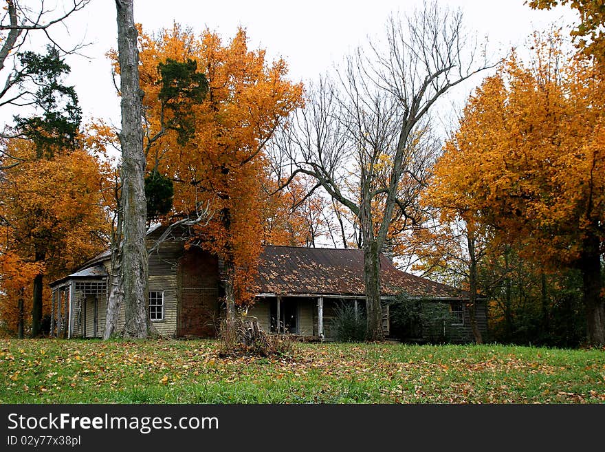 Nashville neighborhood in the fall m bright colorful foliage and warm days. Nashville neighborhood in the fall m bright colorful foliage and warm days