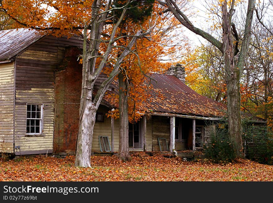 Nashville neighborhood in the fall m bright colorful foliage and warm days. Nashville neighborhood in the fall m bright colorful foliage and warm days