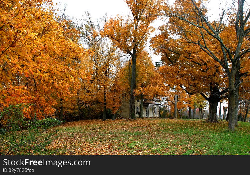 Nashville neighborhood in the fall m bright colorful foliage and warm days. Nashville neighborhood in the fall m bright colorful foliage and warm days