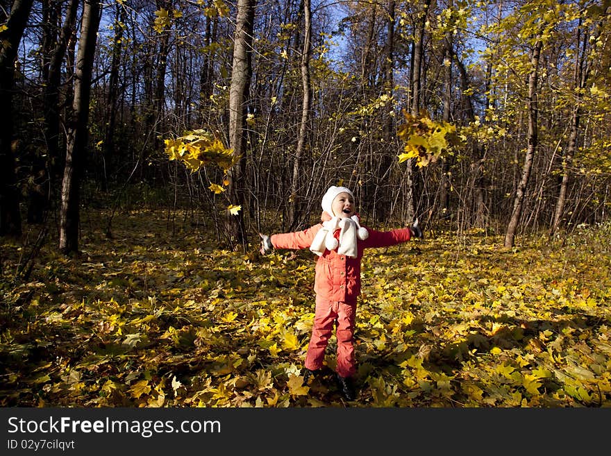 Little girl plays with dry maple leaves in a park. Little girl plays with dry maple leaves in a park