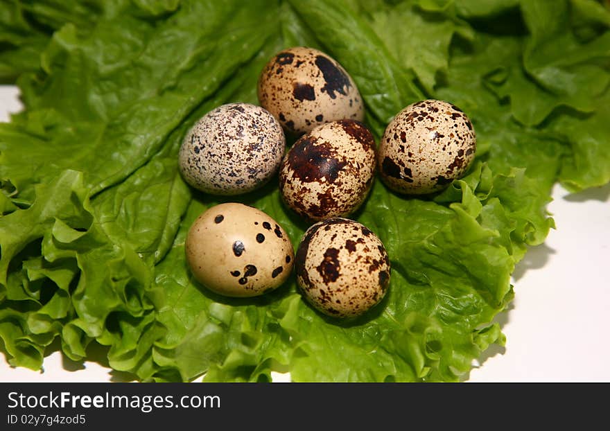 Egg quail, isolated on white background