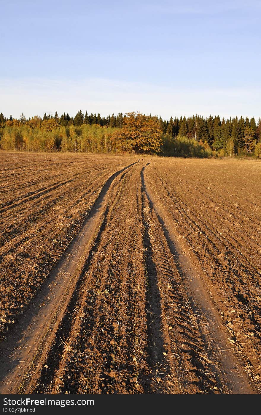 Earth Road Across The Field In The Evening