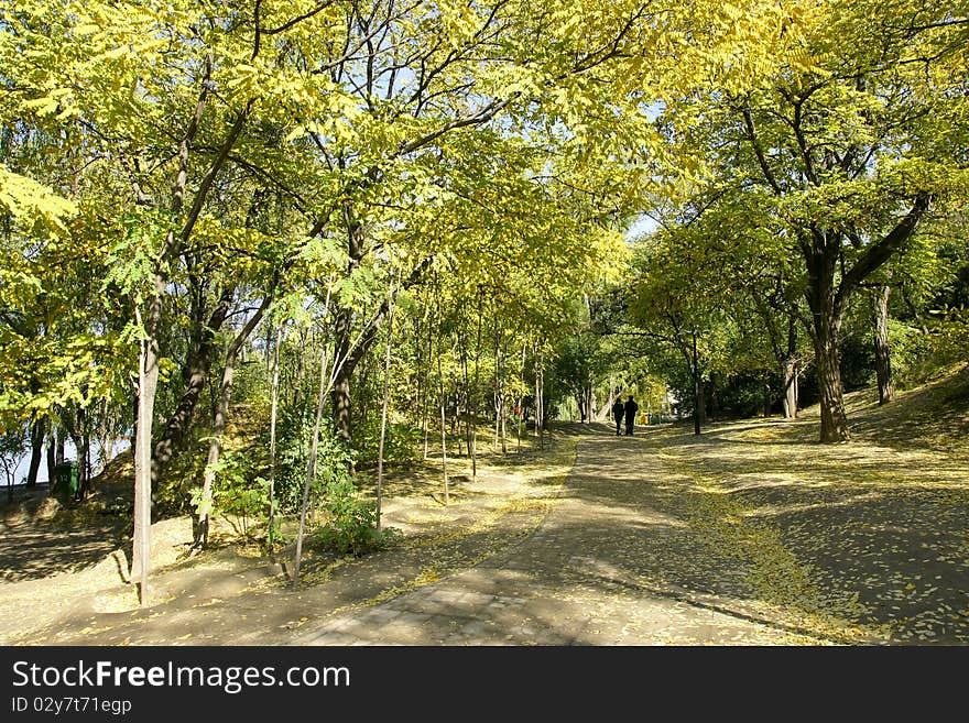 Park scenery in the autumn. Park scenery in the autumn