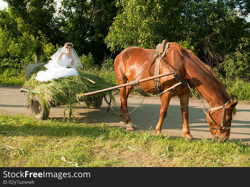 Bride In The Old Carriage