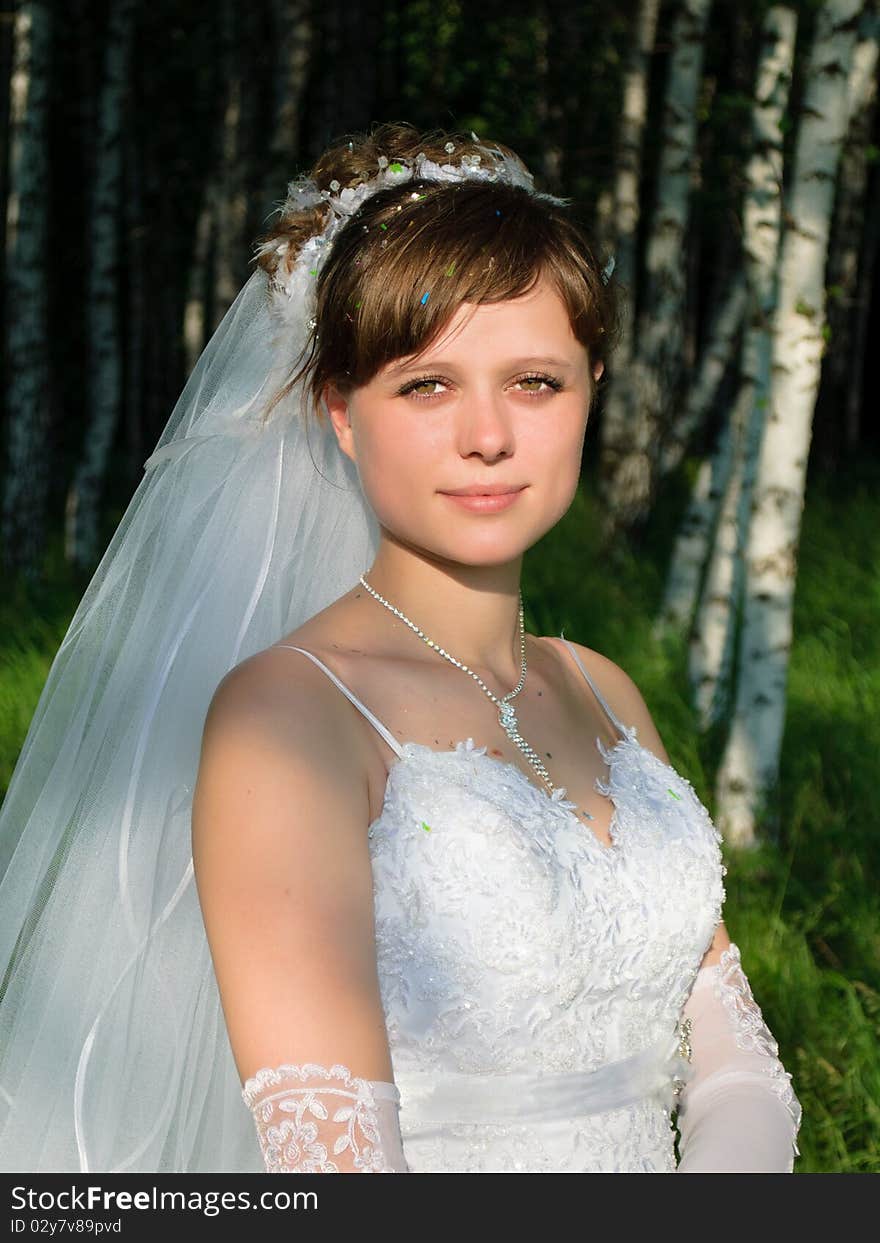 Portrait of bride in a birch forest