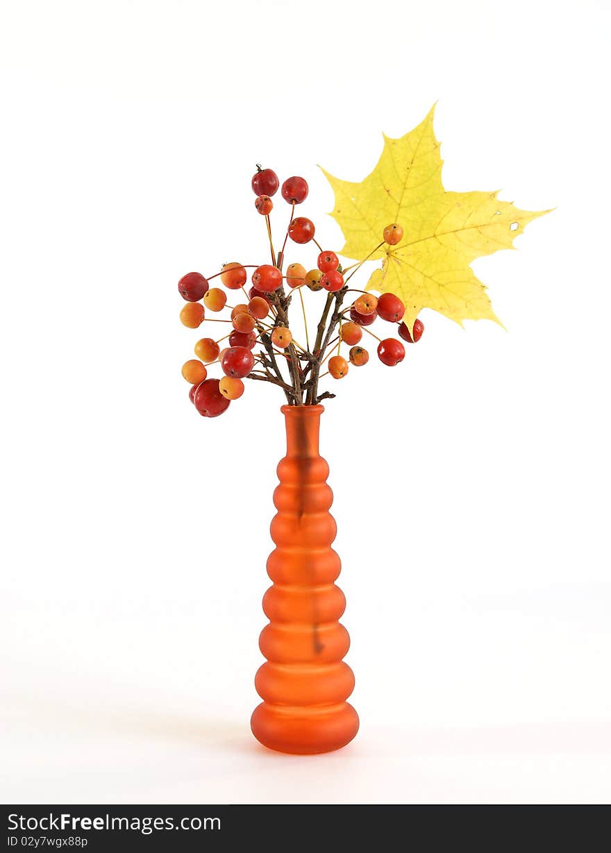 Autumn bouquet of branches with small apples and maple leaves to color a glass vase on a white background