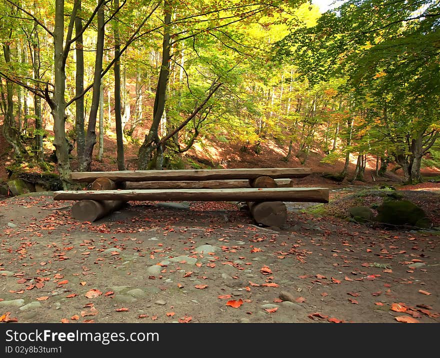 Wooden bench and table for picnic in autumn forest