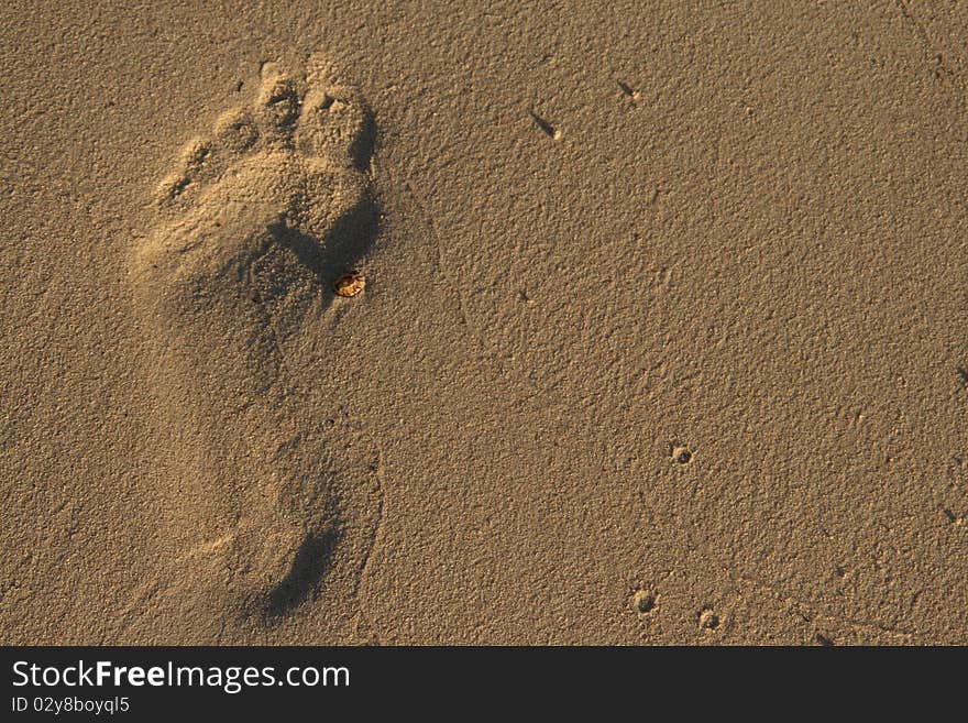 Footprint in the sand (seychelles)