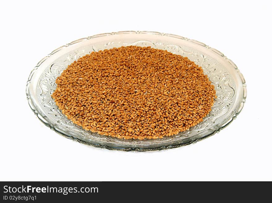 Wheat Grains in Glass Tray