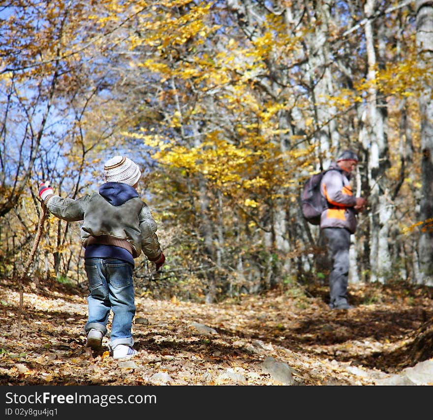 Father and son walking n autumn forest. Father and son walking n autumn forest