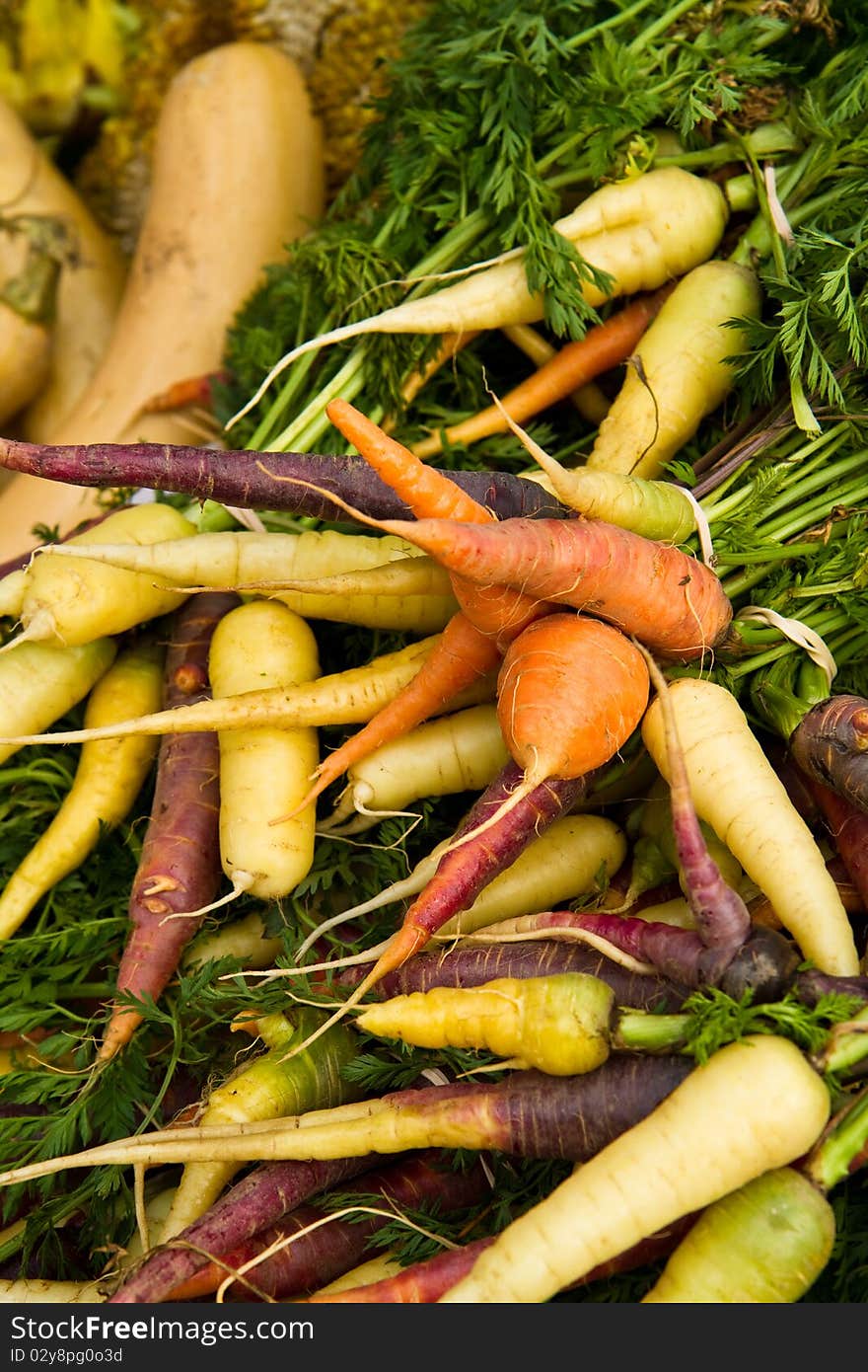 Colorful Carrots