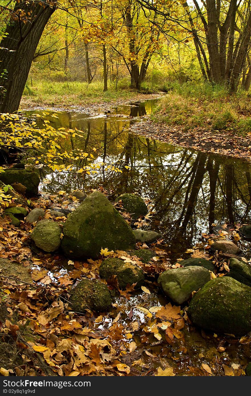 A fork in the river running through autumn woods