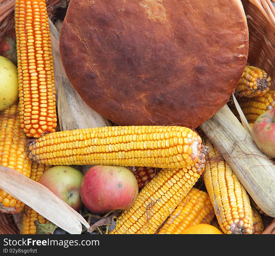 Richness of autumn, a basket full of fruits of the earth. Richness of autumn, a basket full of fruits of the earth