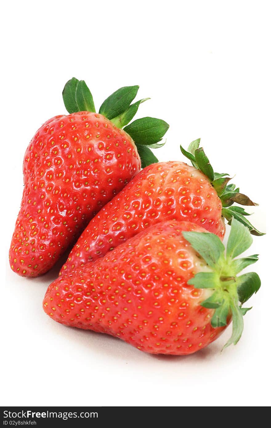 Fresh Strawberry