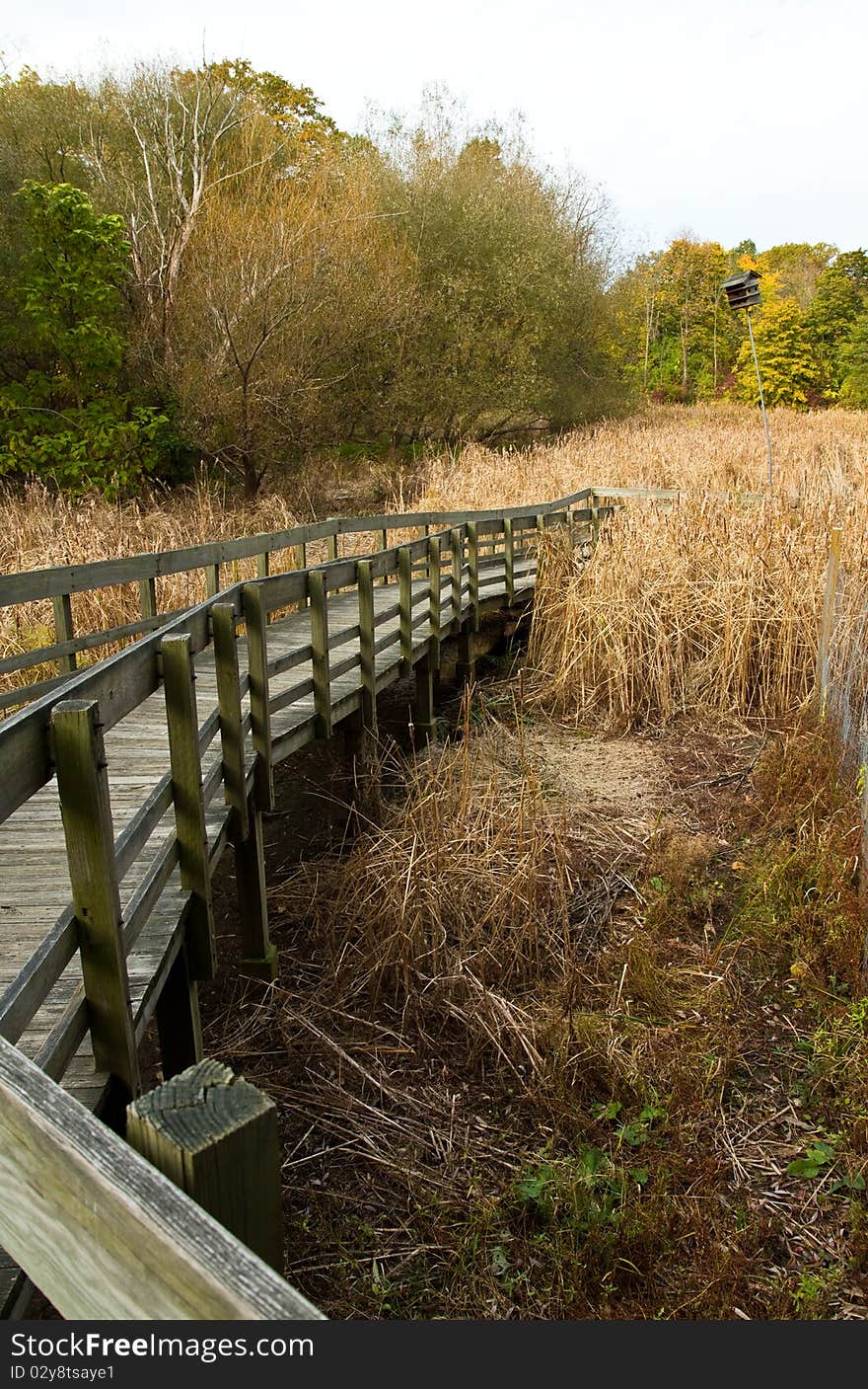 Wooden path leading to the marsh on a fall morning. Wooden path leading to the marsh on a fall morning