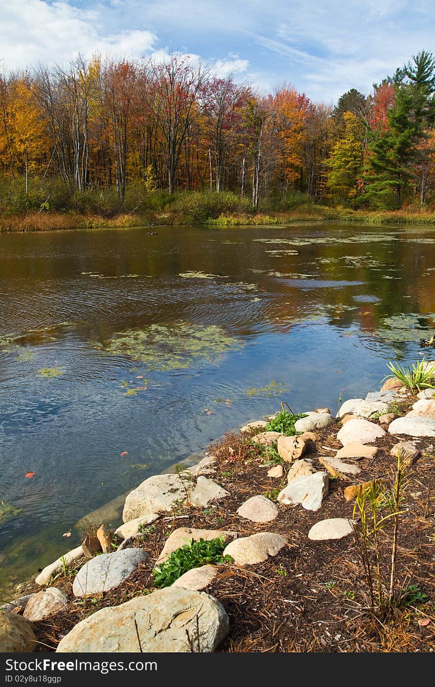 Waning colors of fall reflected in the duck pond. Waning colors of fall reflected in the duck pond