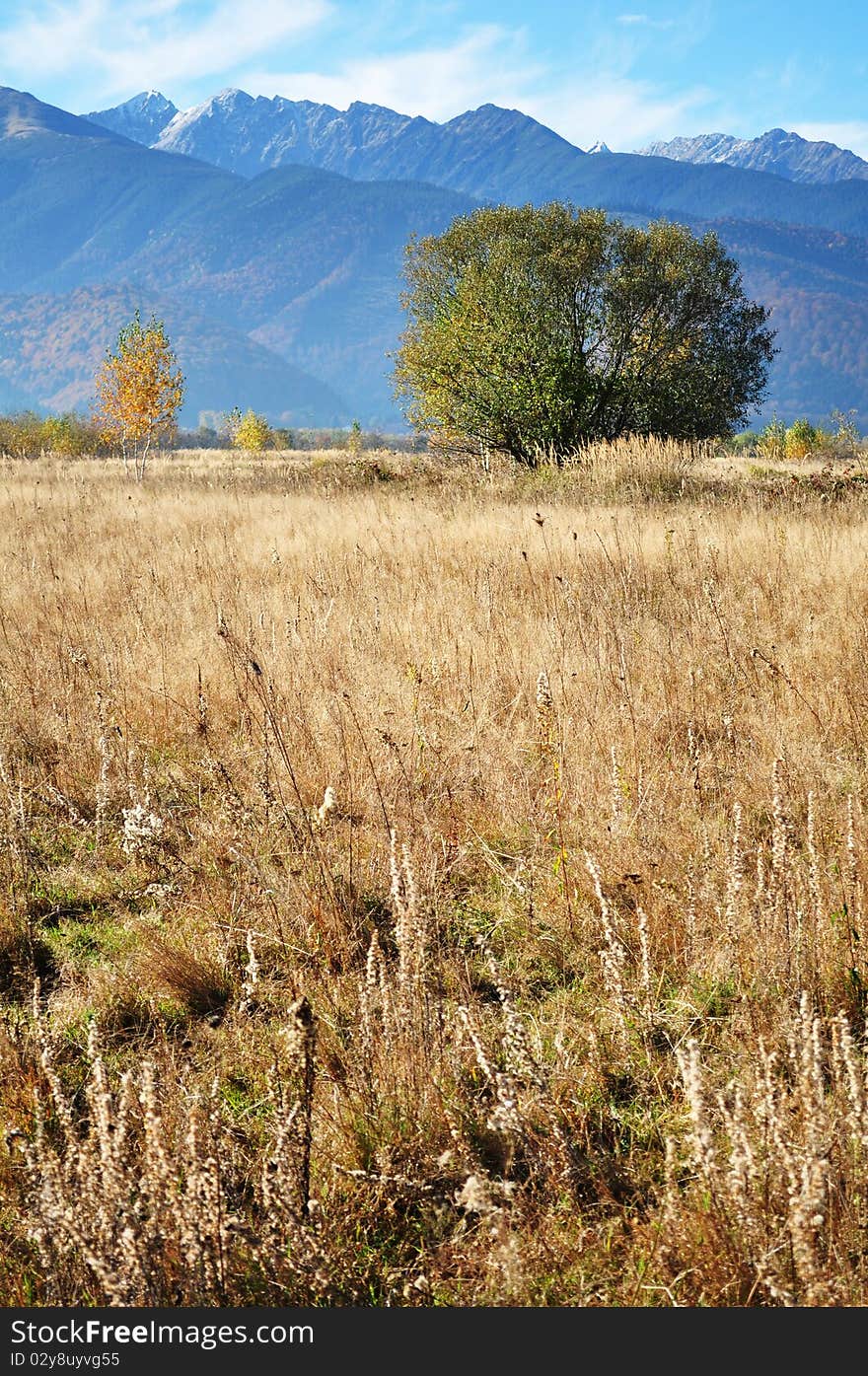 Autumn landscape