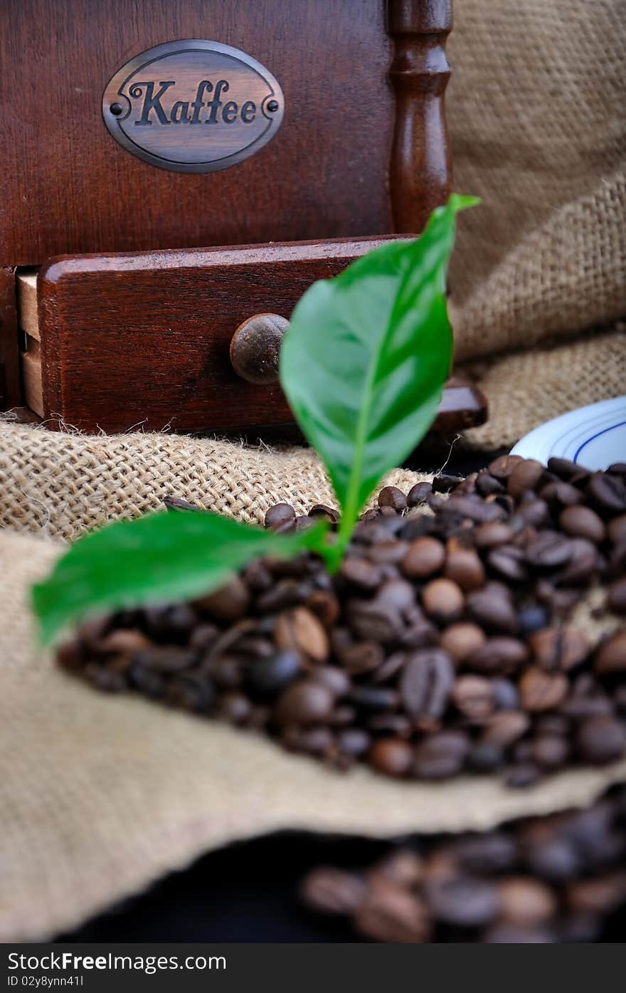 Vintage coffee grinder and coffe plant in granules. Vintage coffee grinder and coffe plant in granules