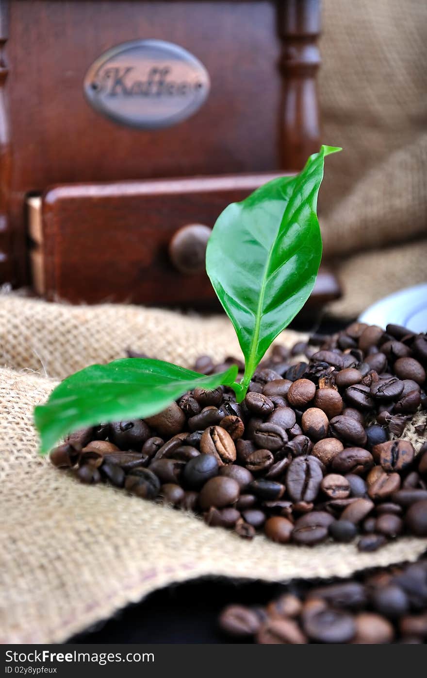 Vintage coffee grinder and fresh coffee