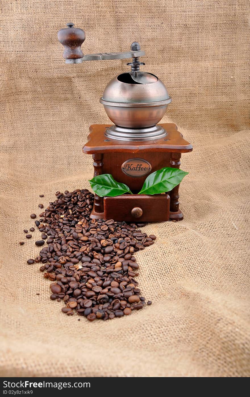 Vintage coffee grinder and coffe plant with granules