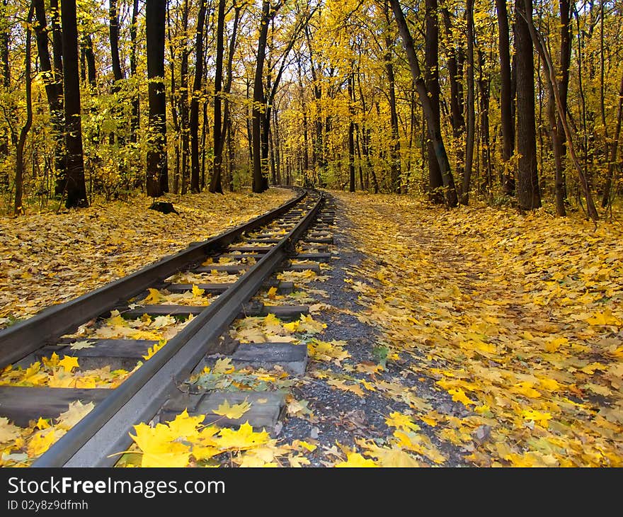 Railway passing through the forest and turn left. Railway passing through the forest and turn left