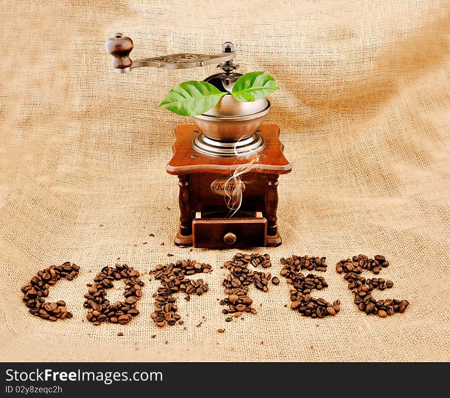 Vintage coffee grinder and sign coffe from coffee granules with coffee plant