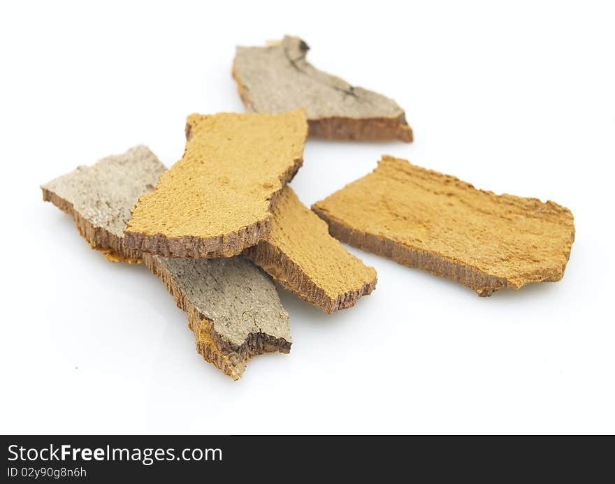 Plane tree bark on a white background