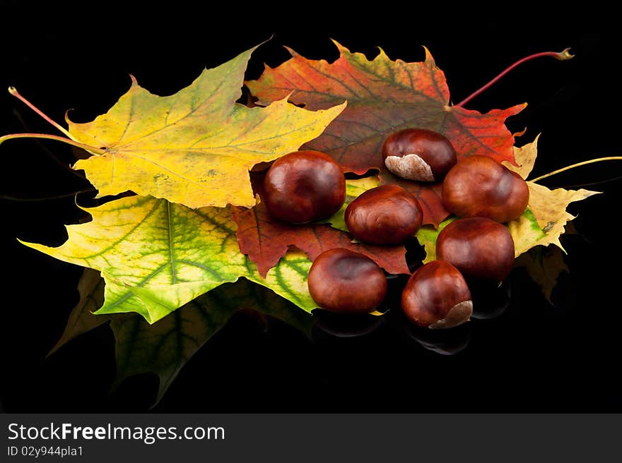 Autumn composition chestnuts and leafs on black background