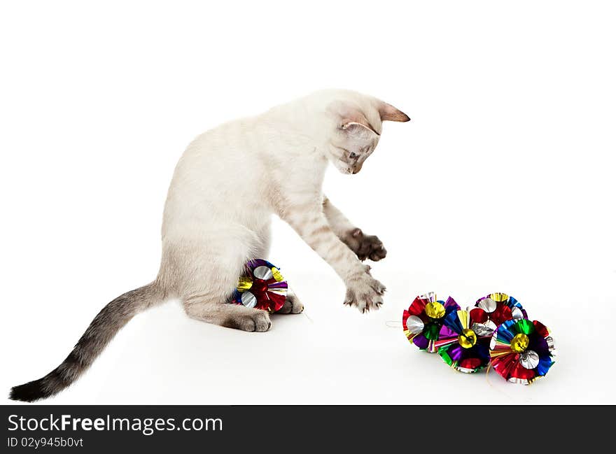 Kitten playing with Christmas ornaments. On the eastern calendar 2011 - the year the cat.