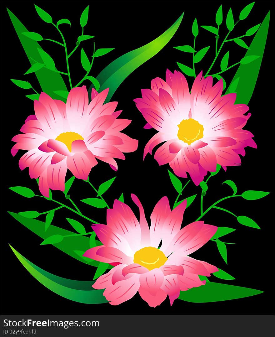 Bouquet from three flowers gerberas - a greeting card.