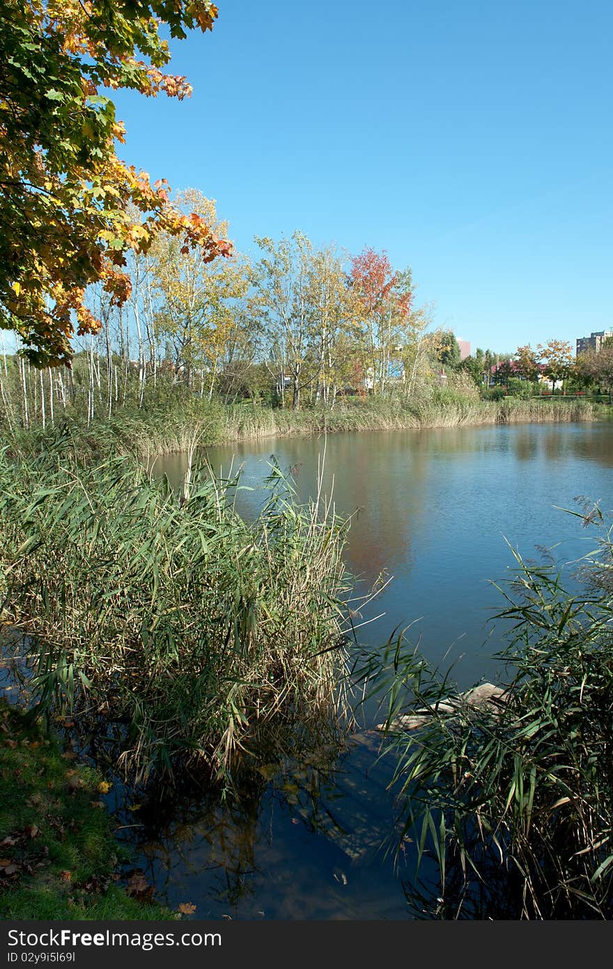 Small lake in park, Warsaw, Poland. Small lake in park, Warsaw, Poland