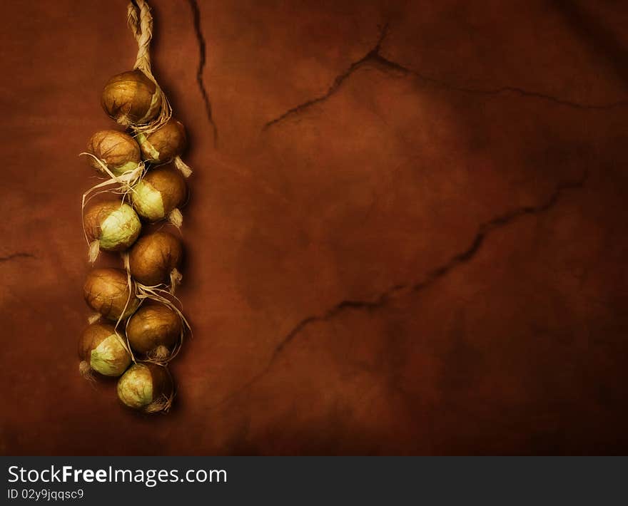 Bunch of onions hanging on the wall