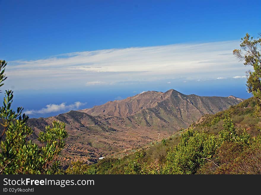 The famous national park of tenerife