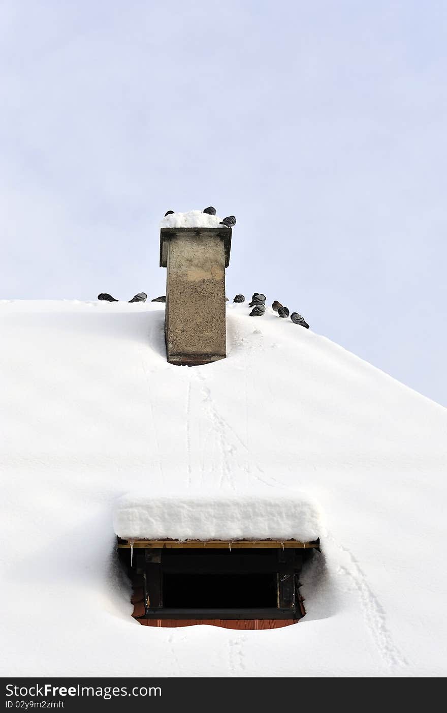 Chimney on the roof covered with snow and pigeons around it.