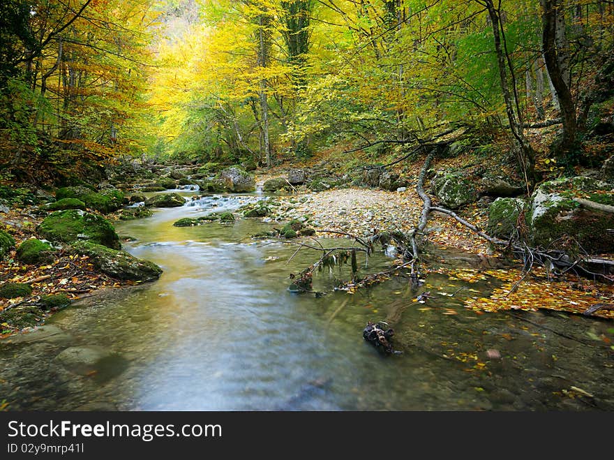 River in autumn forest