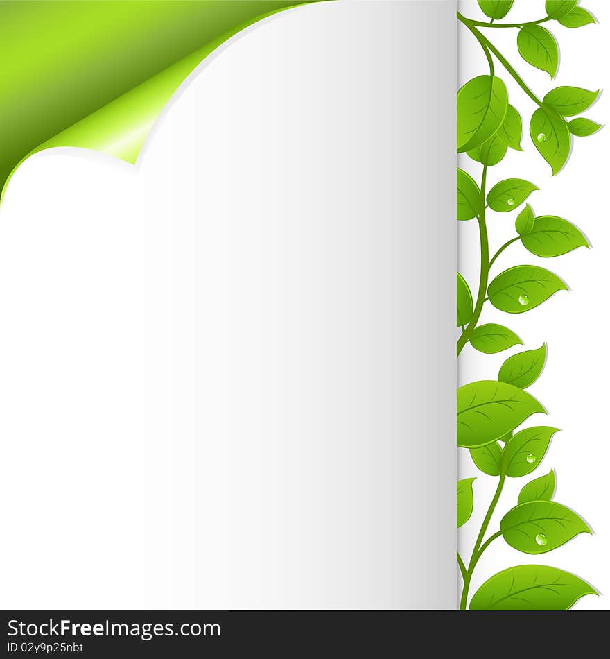 Green Leaves And Paper. Vector