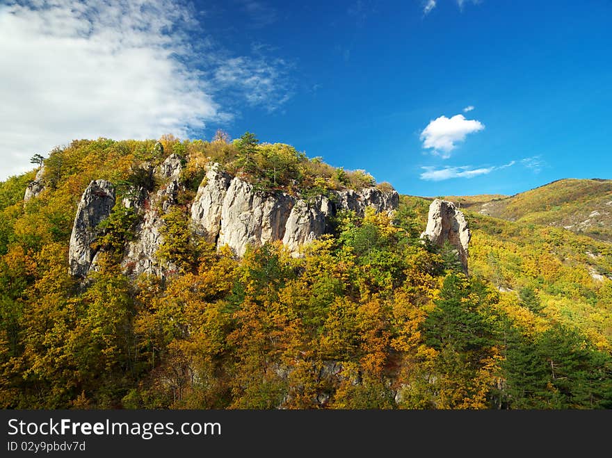 Autumn in mountain. Composition of nature.