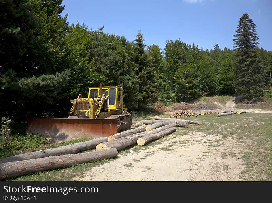 Earthmoving machinery in the woods between tree trunks. Earthmoving machinery in the woods between tree trunks