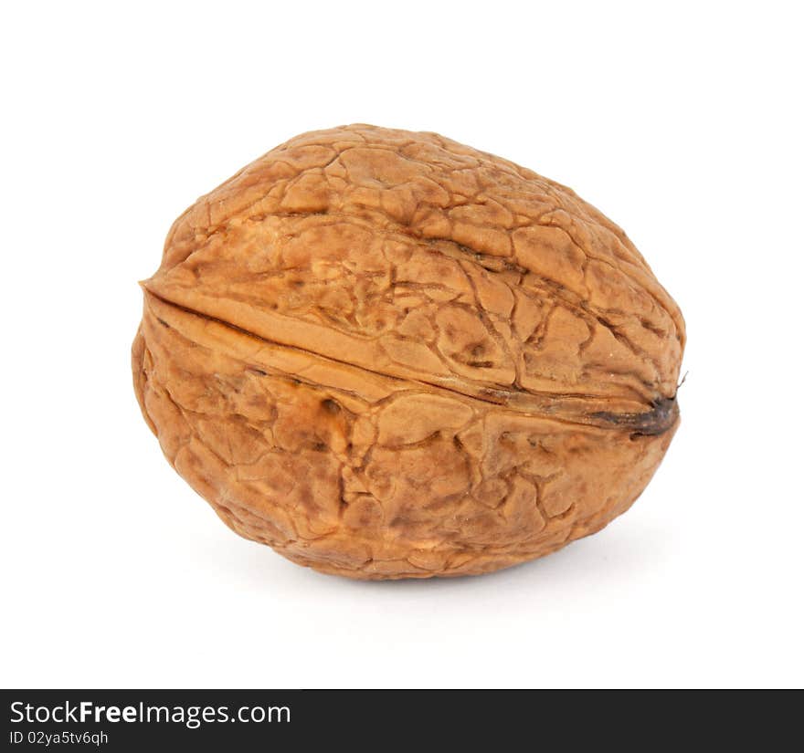 Walnut