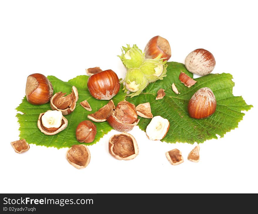 Hazelnuts with leaves and shell in the background