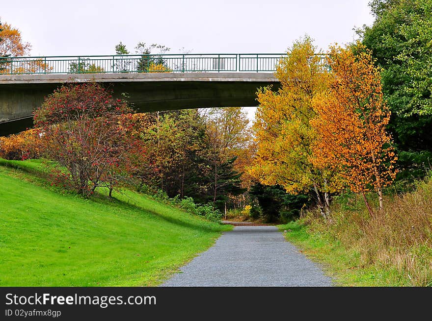 Beautiful Autumn scenery with bridge and nature trail in St John's Newfoundland. Beautiful Autumn scenery with bridge and nature trail in St John's Newfoundland.