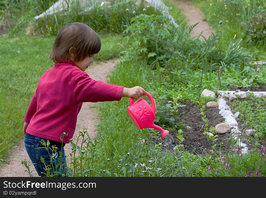 Girl with watering-can watering grass. Girl with watering-can watering grass