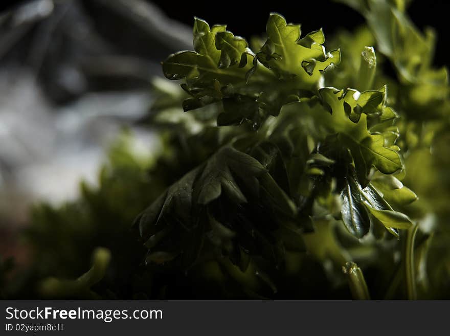 Fresh parsley isolated on black. Fresh parsley isolated on black